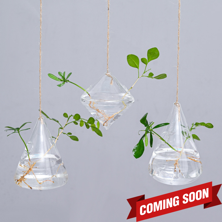Suspended Hydro Glass Planter