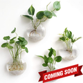 Eco-Friendly Wall-Mounted Glass Planter