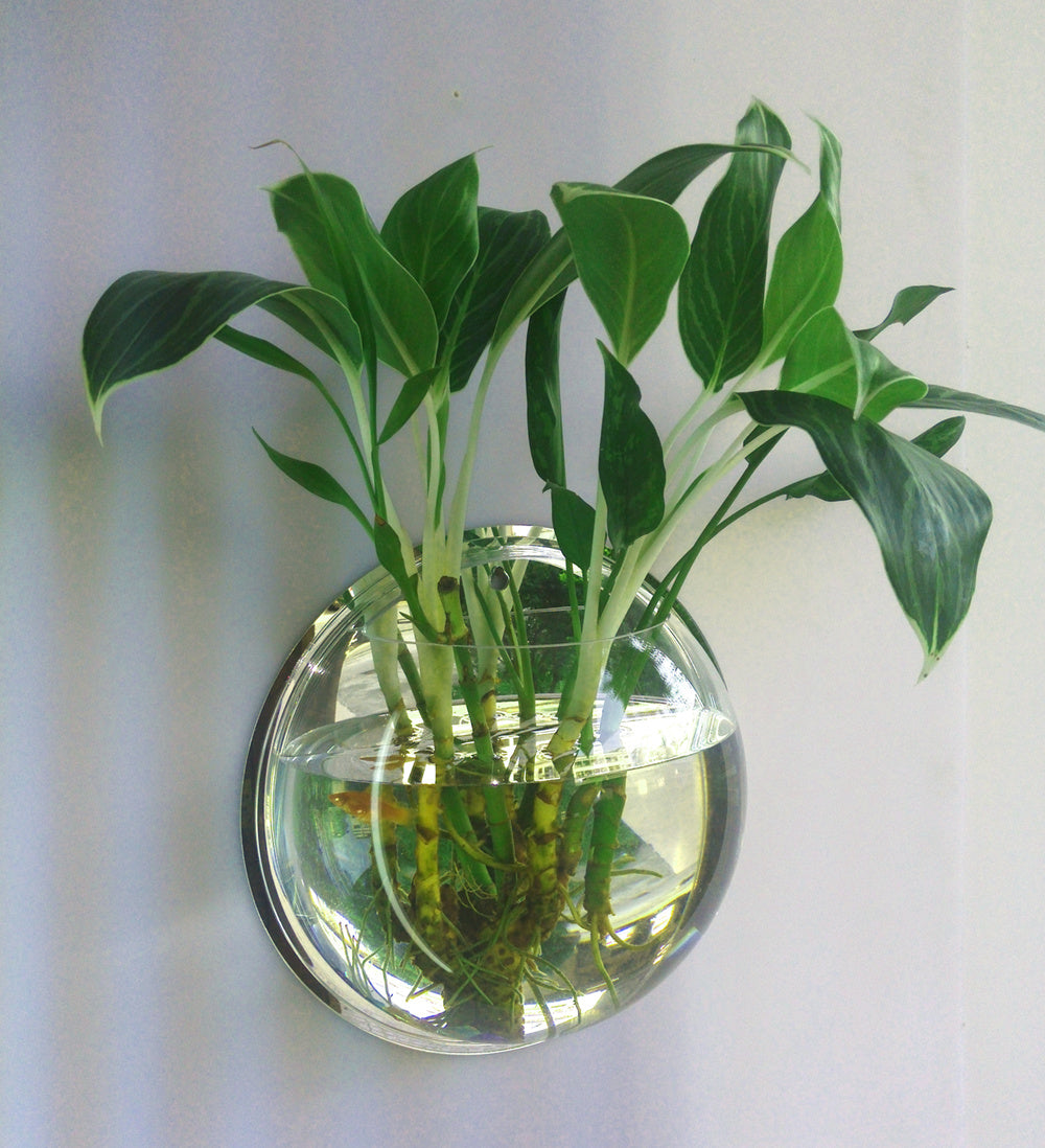 Eco-Friendly Wall-Mounted Glass Planter