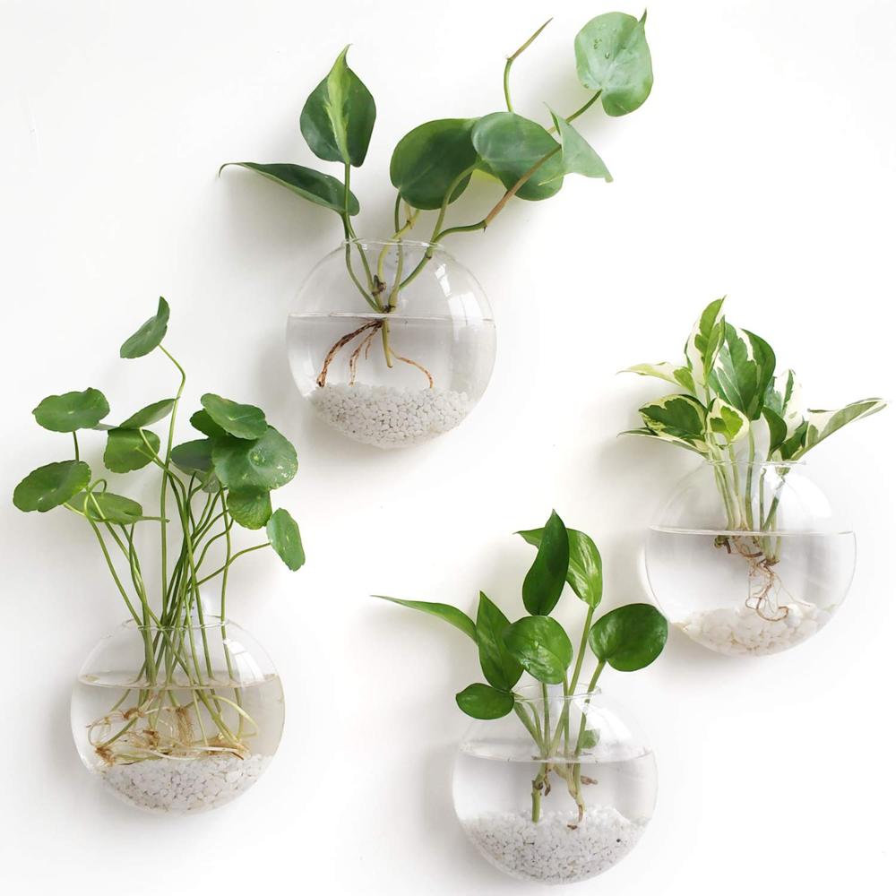 Eco-Friendly Wall-Mounted Glass Planter