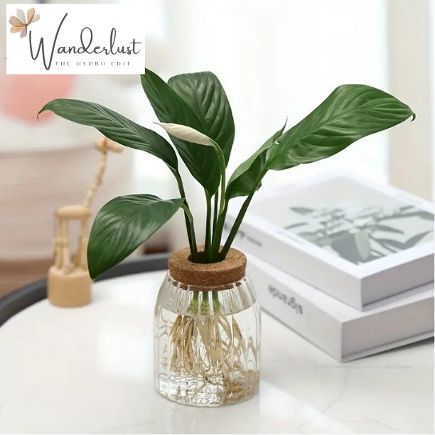 Wanderlust Eco Fluted Glass Vase